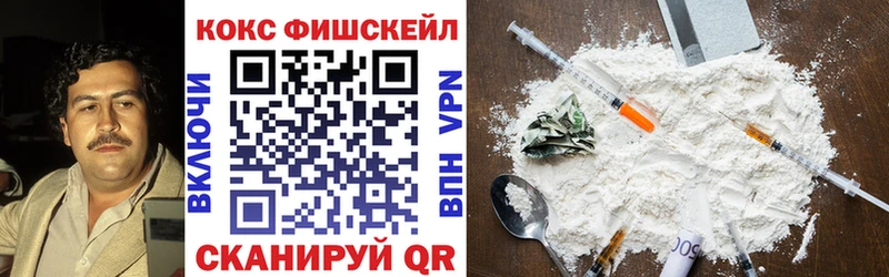 COCAIN FishScale  Купить закладки  Стерлитамак 