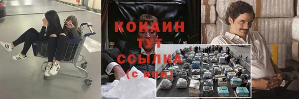 сатива Киренск